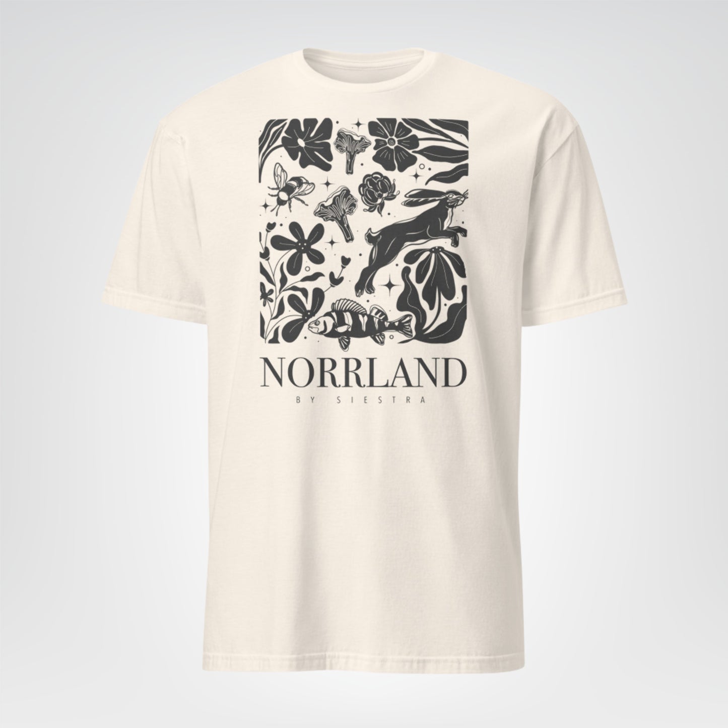 Norrland