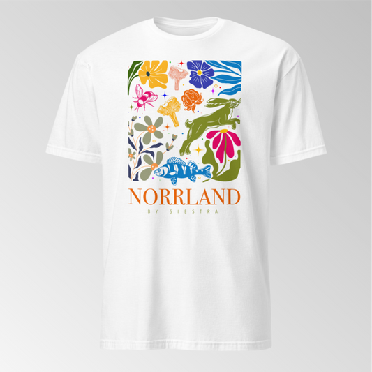 Norrland I