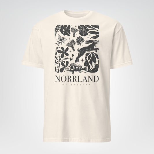 Norrland