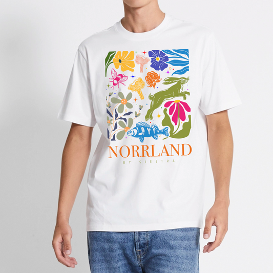 Norrland I